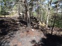 2017-06-01 12-01-55 Rando Fontainebleau DLe